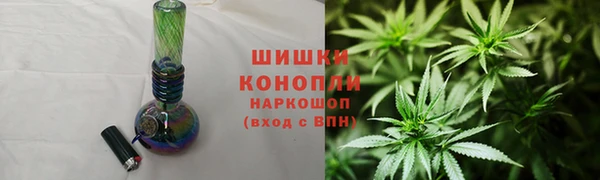 PSILOCYBIN Бугульма