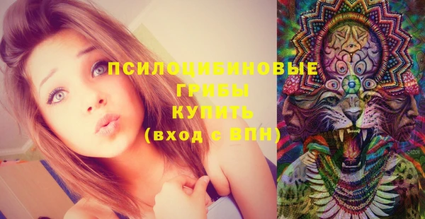 дурь Богородск