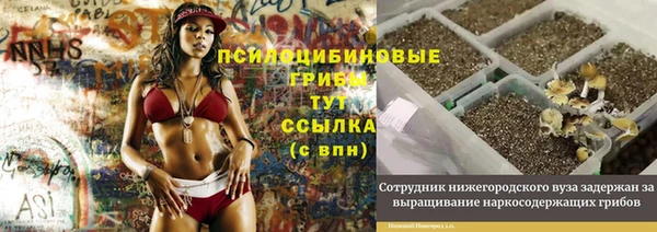 мет Богородицк